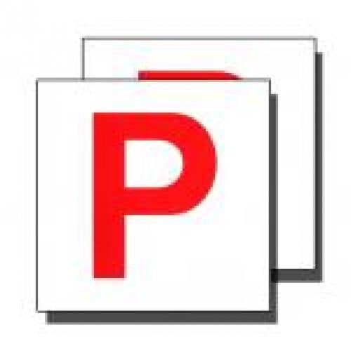 Driver Plate P Red 2s