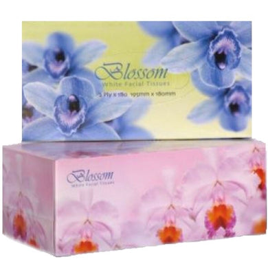 TIS - Tissues Blossom Tissues (160sht) BOX 32s